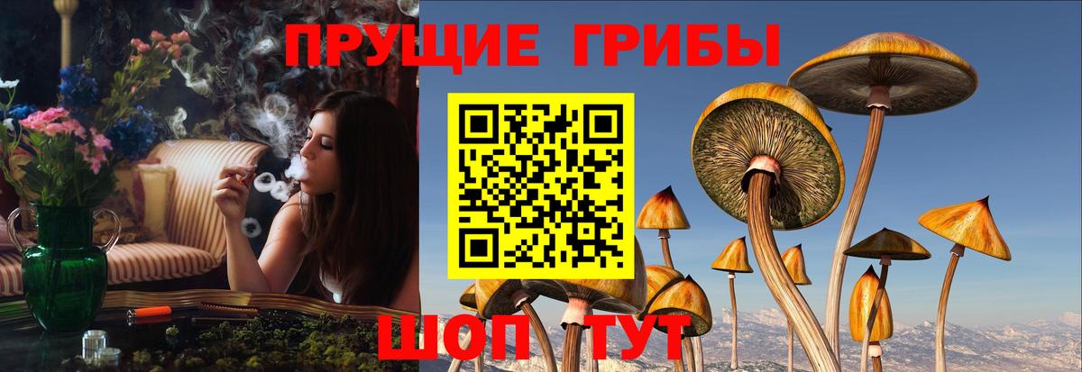 Галлюциногенные грибы GOLDEN TEACHER Ступино
